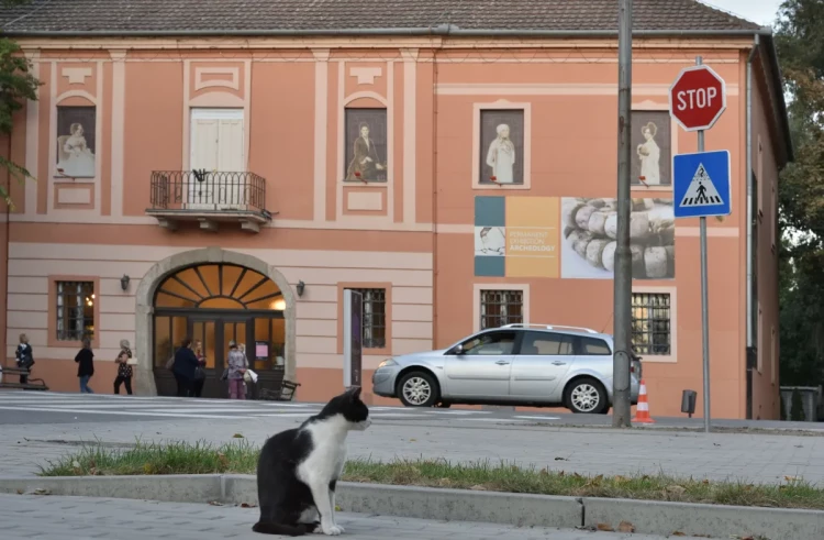 Kray-kastely-2.-Foto-Roncsak-Alexander