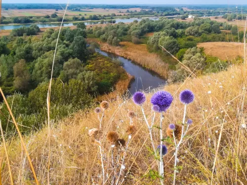 Mali-pesak-1-Ugljesa-Kuzelka