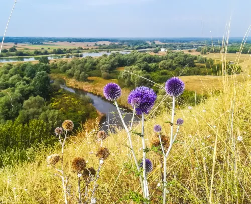 Mali-pesak-2-Ugljesa-Kuzelka