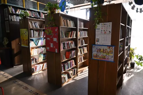 Prva-srpska-citaonica-TOO-Irig-7