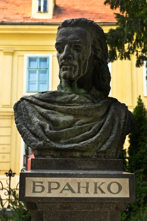 Branko-Radicevic-bista