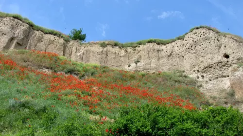 Odseci-Titelskog-brega