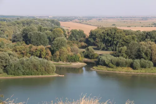 pogled-sa-Titelskog-brega