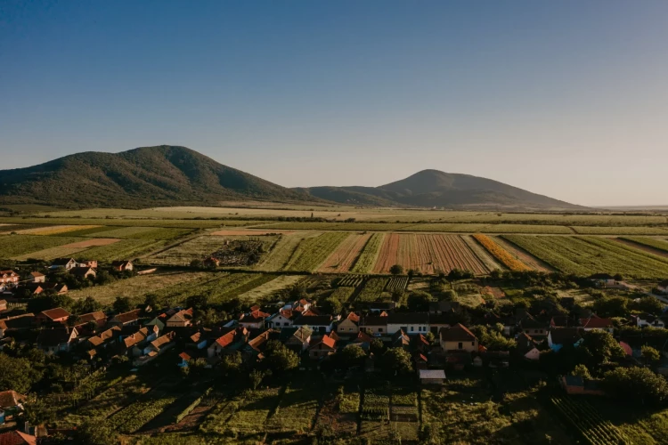 Foto Fondacija-Ana-i-Vlade-Divac-Gudurica-2
